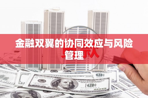 水富金融双翼的协同效应与风险管理