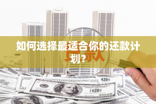 水富如何选择最适合你的还款计划？