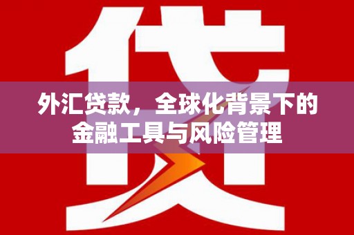 水富外汇贷款，全球化背景下的金融工具与风险管理